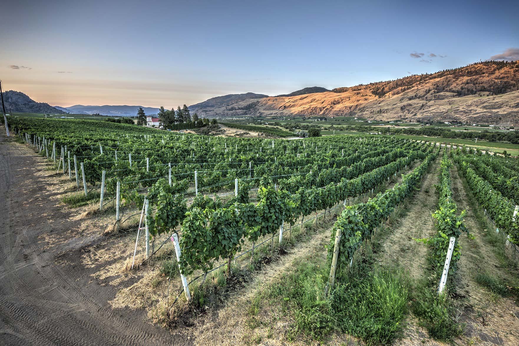 Phantom Creek Vineyard  Award-Winning Red Wines from Okanagan Valley